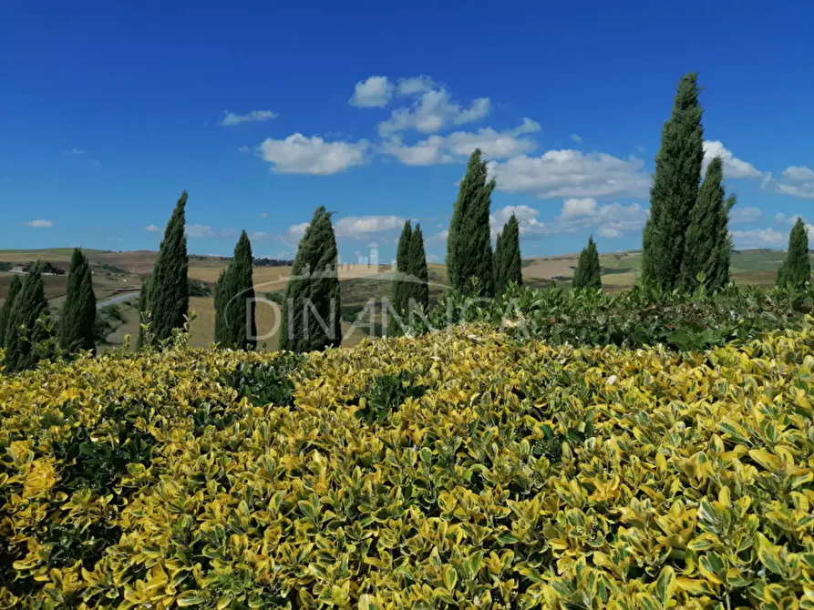 Immagine 33 di Appartamento in vendita  a Volterra