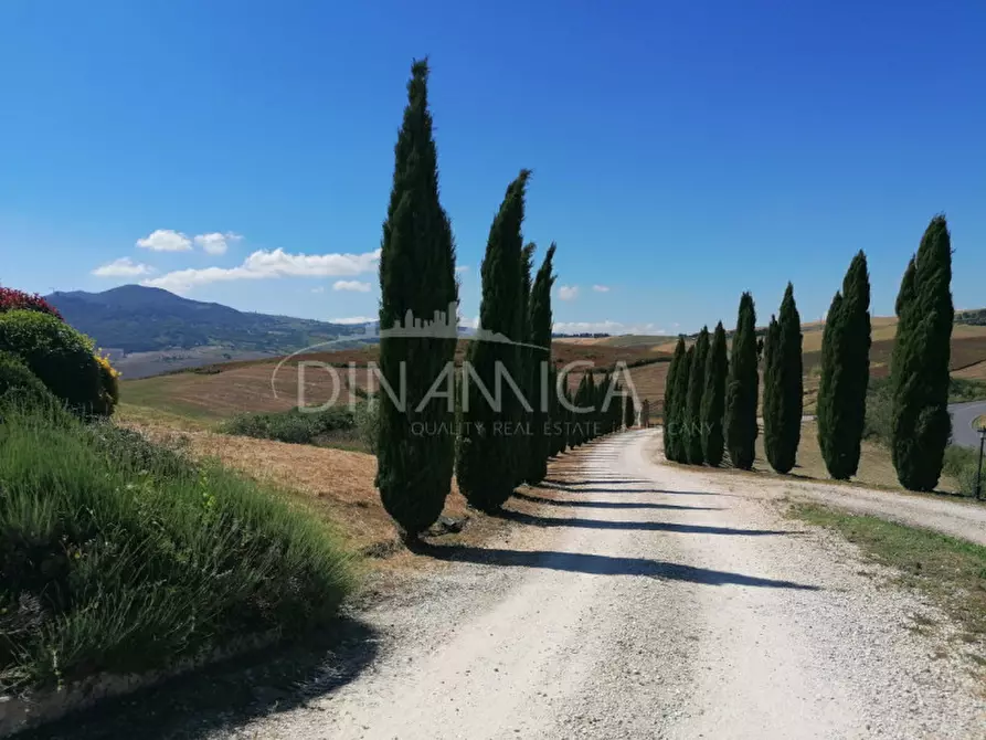 Immagine 35 di Appartamento in vendita  a Volterra