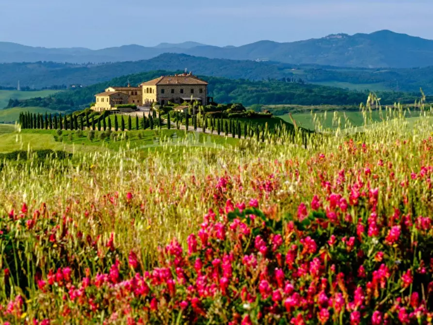 Immagine 36 di Appartamento in vendita  a Volterra