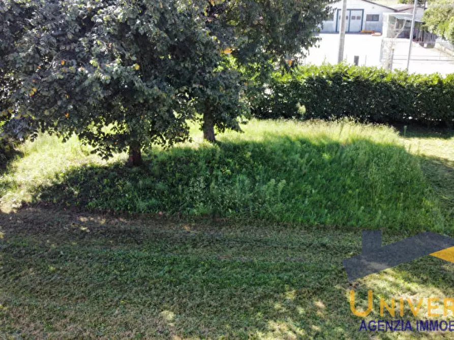 Immagine 7 di Casa indipendente in vendita  in Via Piave a Piombino Dese