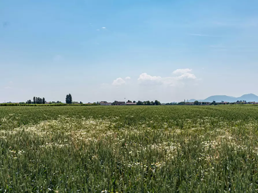 Immagine 32 di Villetta a schiera in vendita  in VIA RONCHI 33 a Longare