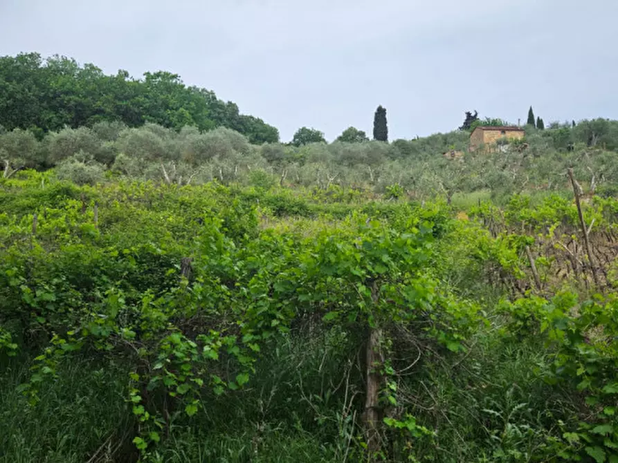 Immagine 11 di Rustico / casale in vendita  a Sinalunga