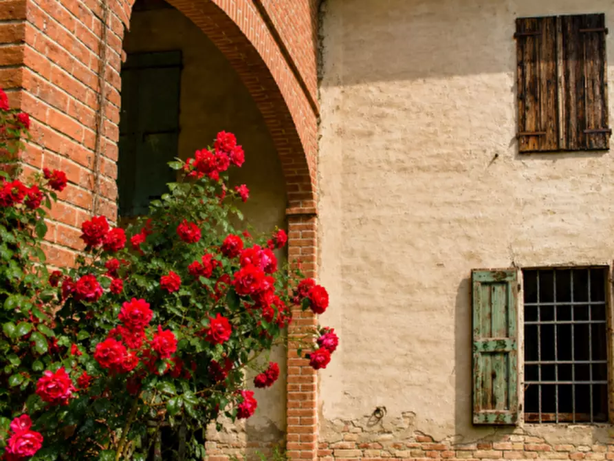 Immagine 3 di Rustico / casale in vendita  in via Mastro Achille a Sissa Trecasali