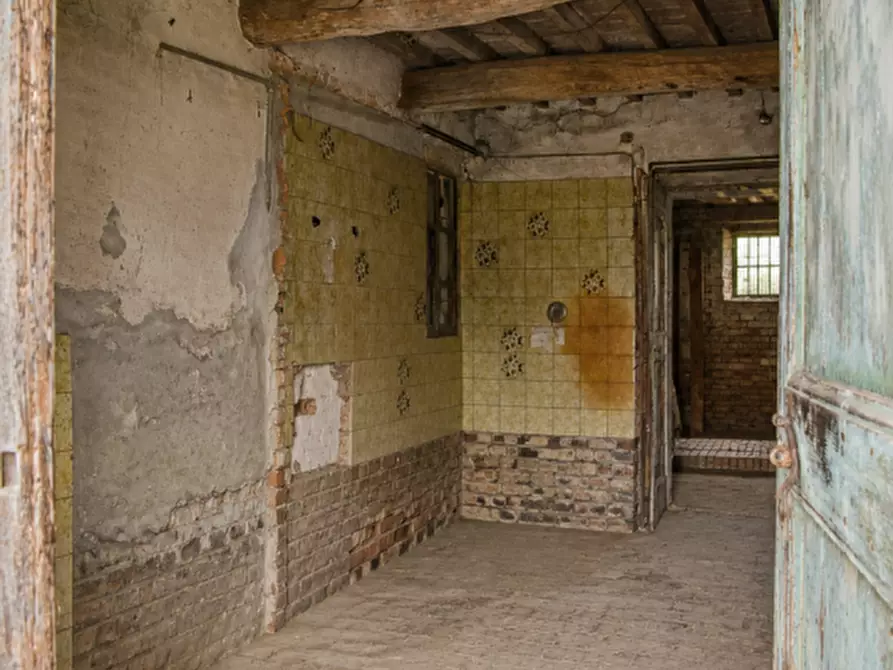 Immagine 39 di Rustico / casale in vendita  in via Mastro Achille a Sissa Trecasali
