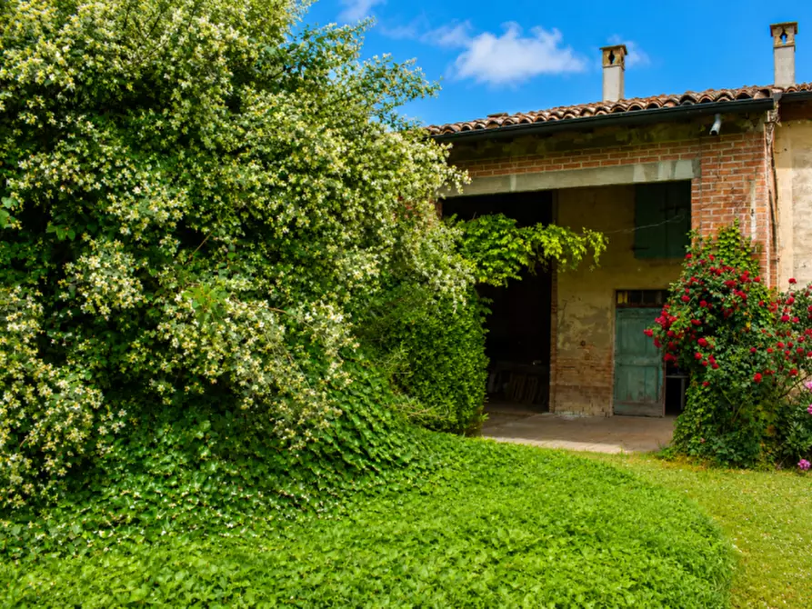 Immagine 41 di Rustico / casale in vendita  in via Mastro Achille a Sissa Trecasali
