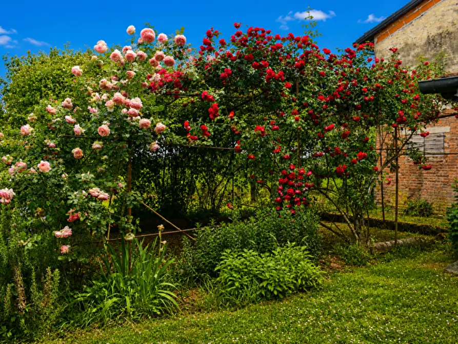 Immagine 56 di Rustico / casale in vendita  in via Mastro Achille a Sissa Trecasali
