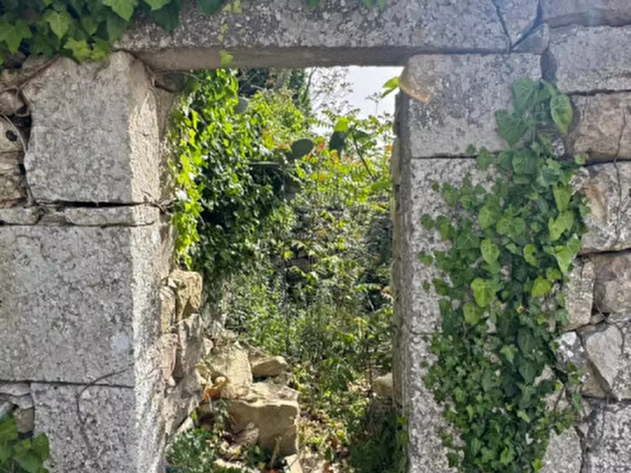 Immagine 13 di Casa indipendente in vendita  in CONTRADA TORRAZZA a Ragusa