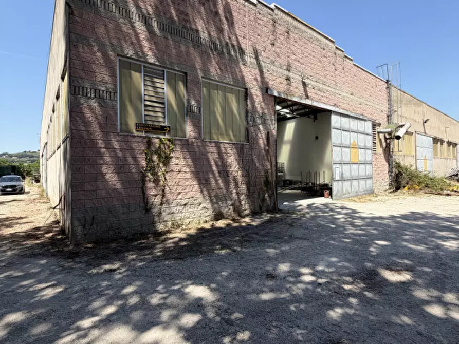 Immagine 3 di Capannone industriale in vendita  a Perugia