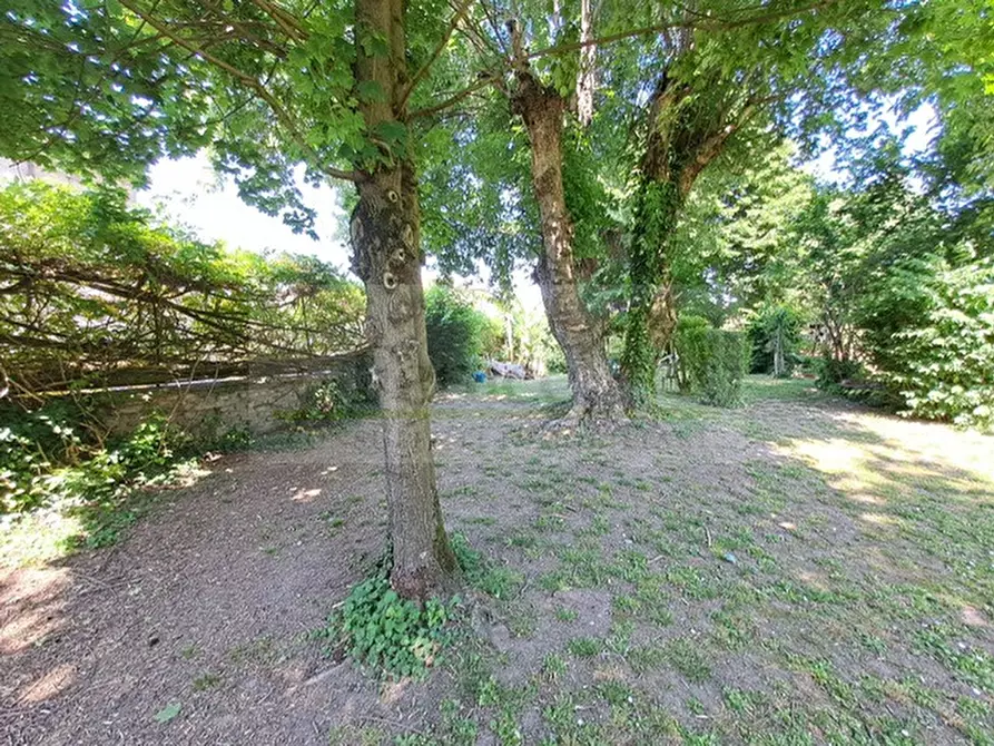 Immagine 6 di Terreno in vendita  in Piubega a Piubega