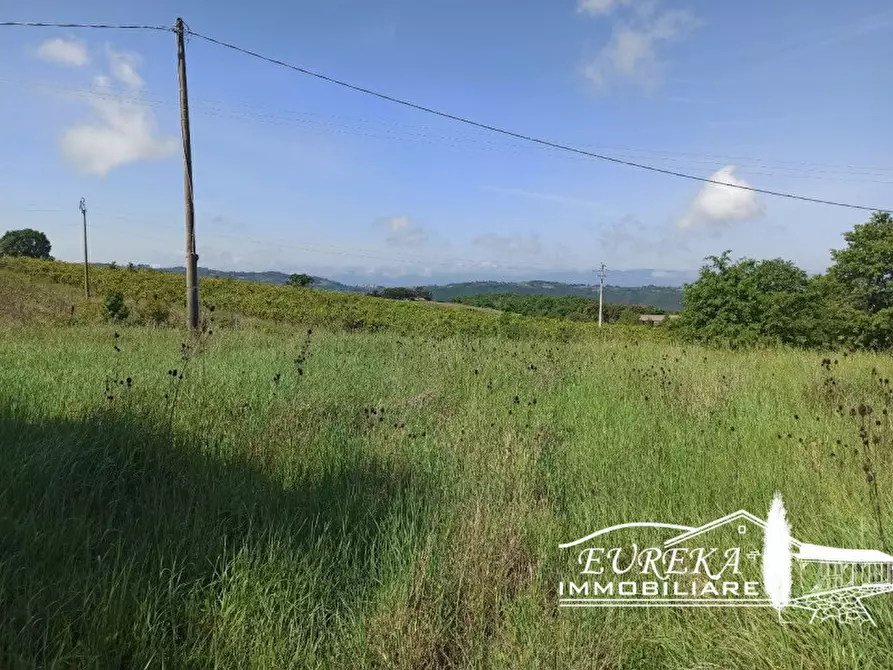 Immagine 11 di Magazzino in vendita  in Parrano a Parrano