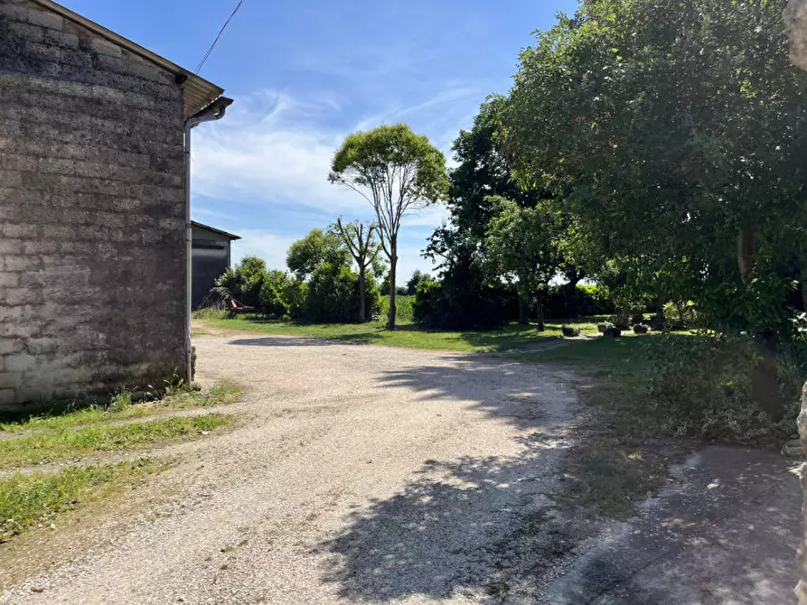 Immagine 1 di Casa indipendente in vendita  in Via Termine a Campiglia Dei Berici