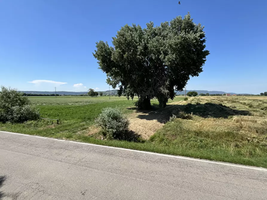 Immagine 20 di Casa indipendente in vendita  in Via Termine a Campiglia Dei Berici