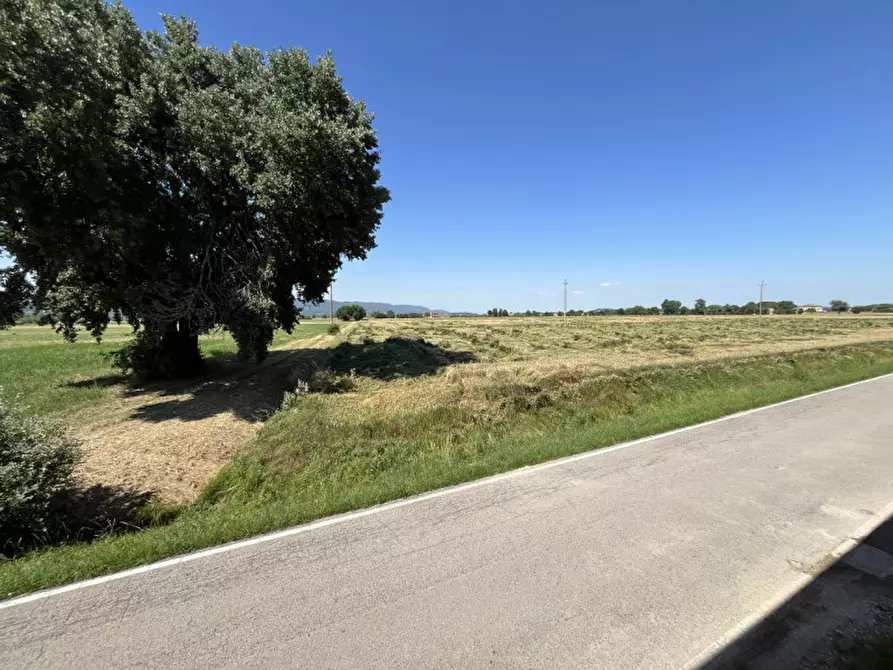Immagine 21 di Casa indipendente in vendita  in Via Termine a Campiglia Dei Berici