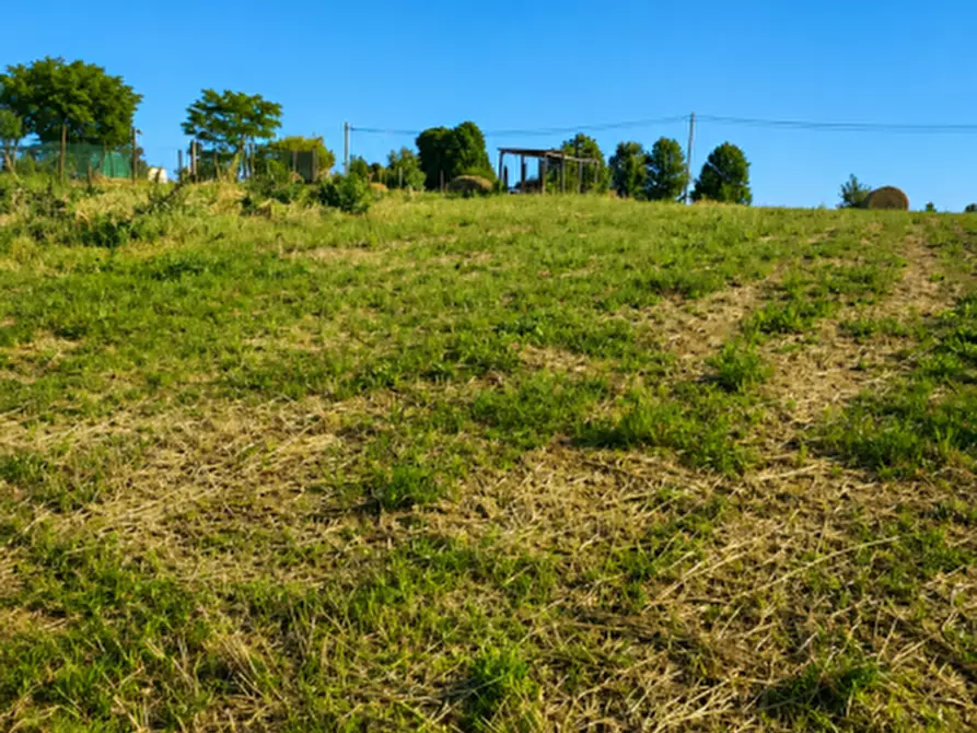 Immagine 10 di Terreno in vendita  in via case rotte a Traversetolo