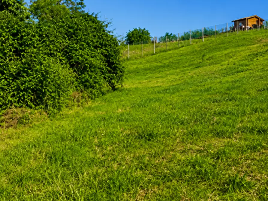 Immagine 14 di Terreno in vendita  in via case rotte a Traversetolo