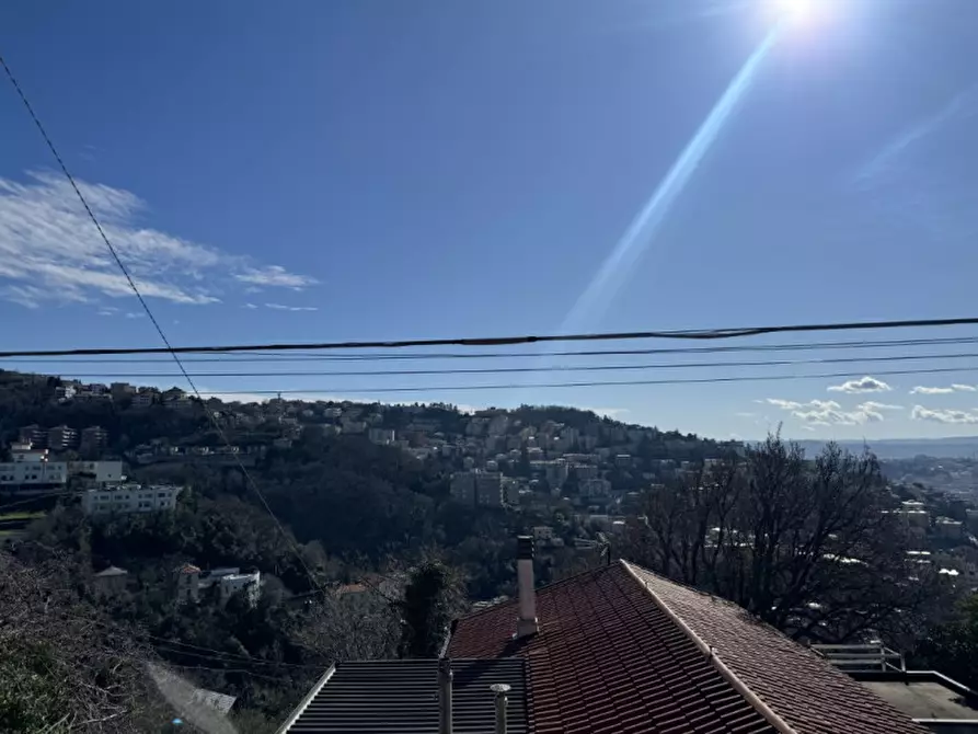 Immagine 37 di Villa in affitto  in Scala Santa 133/1 a Trieste
