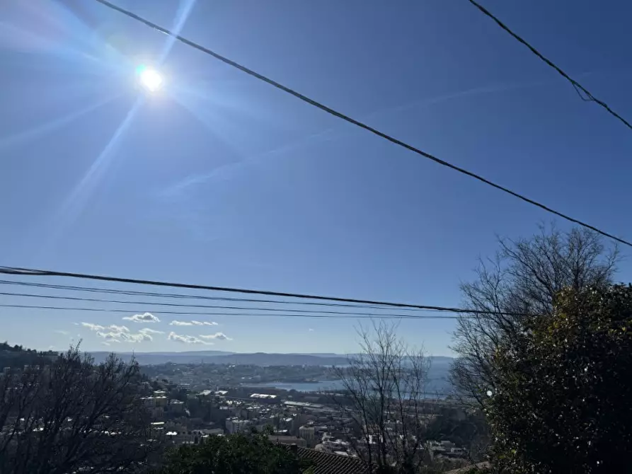 Immagine 38 di Villa in affitto  in Scala Santa 133/1 a Trieste