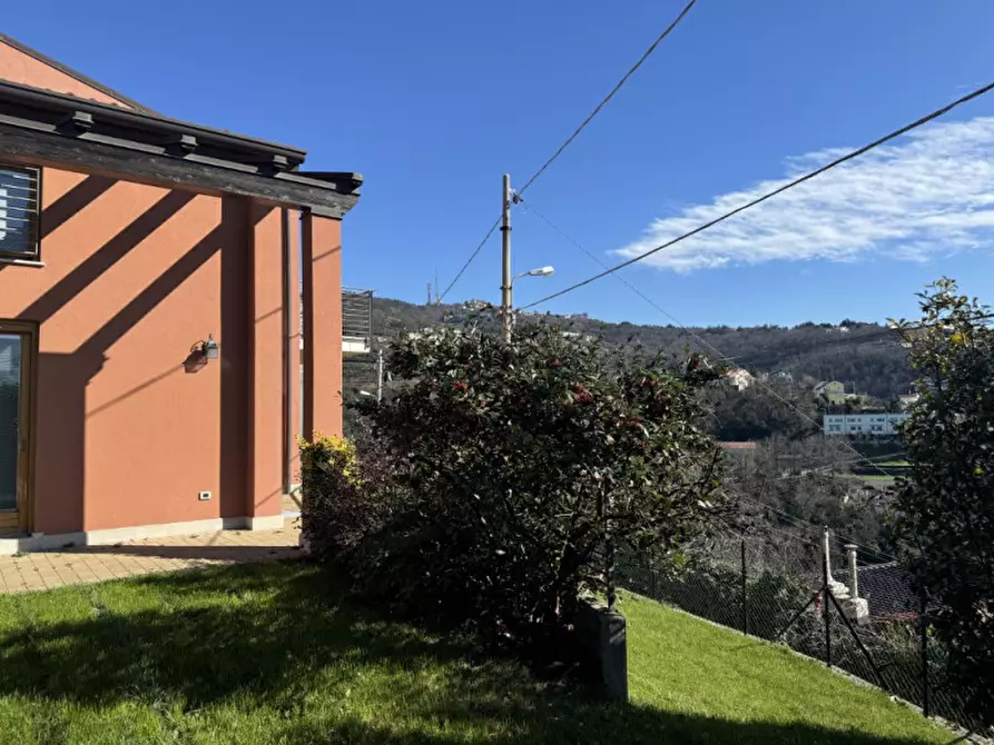 Immagine 41 di Villa in affitto  in Scala Santa 133/1 a Trieste