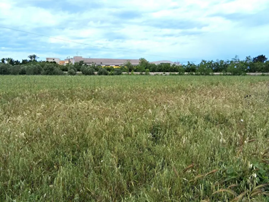 Immagine 1 di Terreno in vendita  in SP 19 a Nardo'