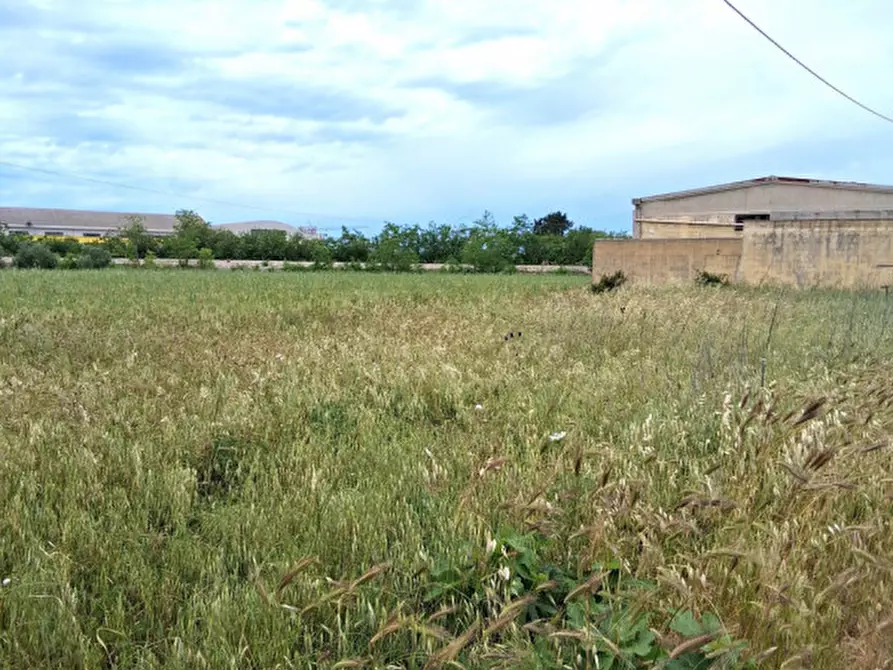 Immagine 2 di Terreno in vendita  in SP 19 a Nardo'
