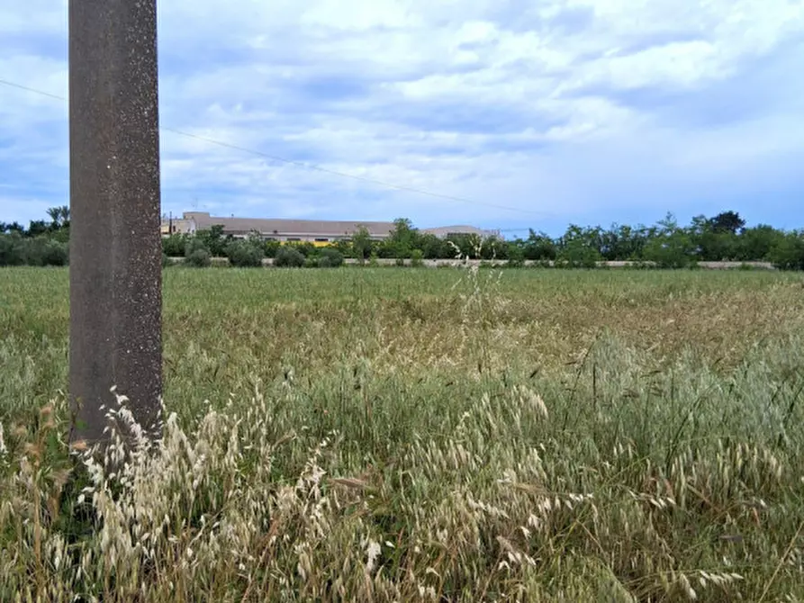 Immagine 3 di Terreno in vendita  in SP 19 a Nardo'