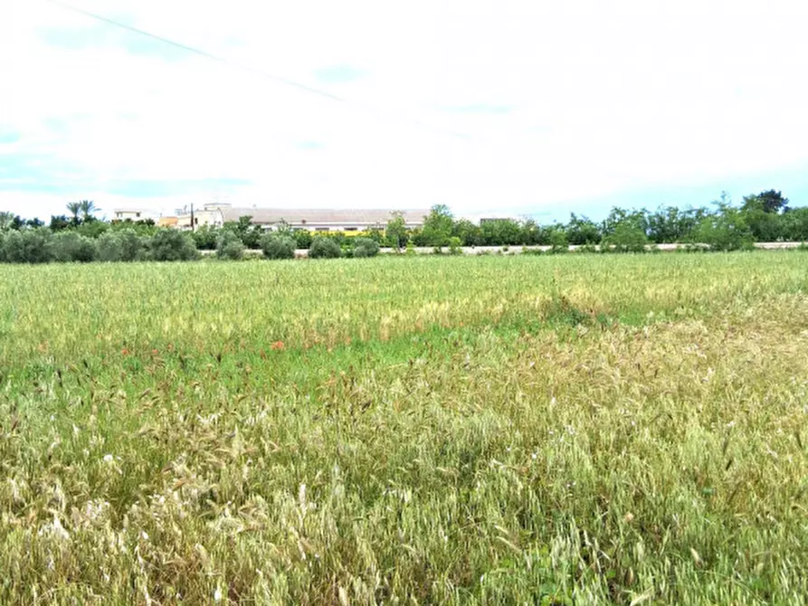 Immagine 4 di Terreno in vendita  in SP 19 a Nardo'