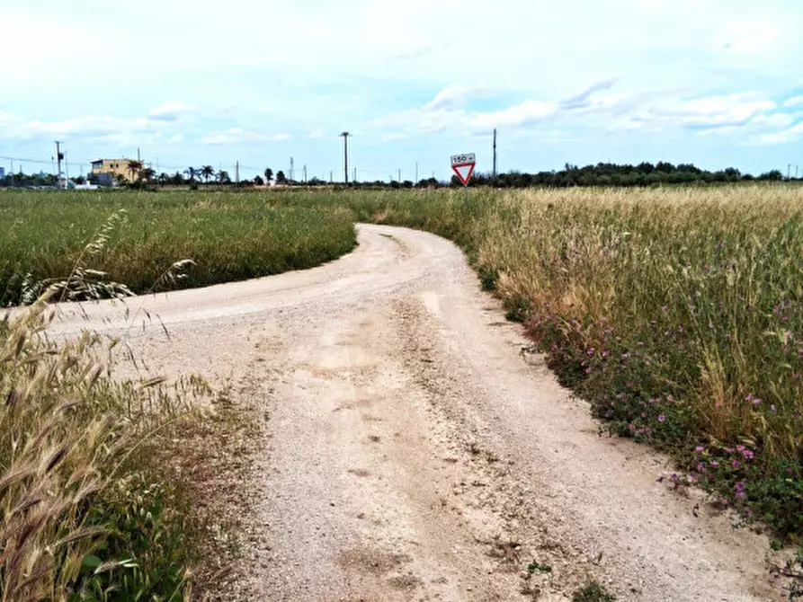 Immagine 6 di Terreno in vendita  in SP 19 a Nardo'