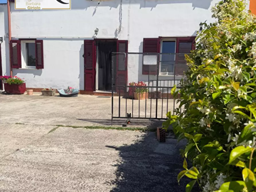 Immagine 2 di Casa bifamiliare in vendita  a Bagnolo Di Po