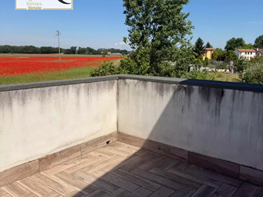 Immagine 6 di Casa bifamiliare in vendita  a Bagnolo Di Po