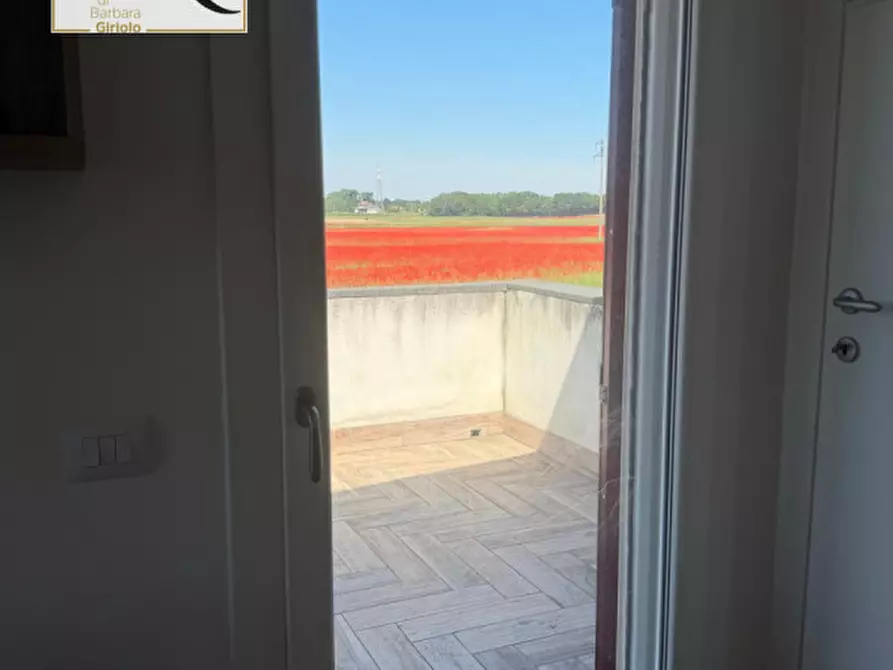 Immagine 17 di Casa bifamiliare in vendita  a Bagnolo Di Po