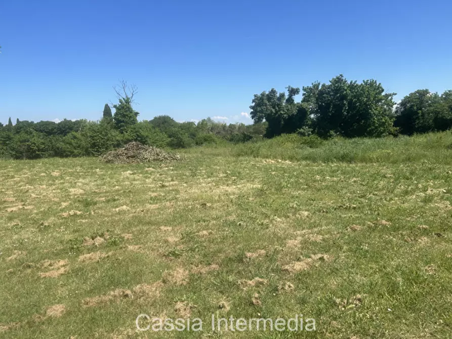 Immagine 13 di Villa in vendita  in Via Passerella 226 a Nepi