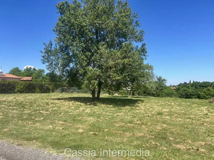 Immagine 33 di Villa in vendita  in Via Passerella 226 a Nepi