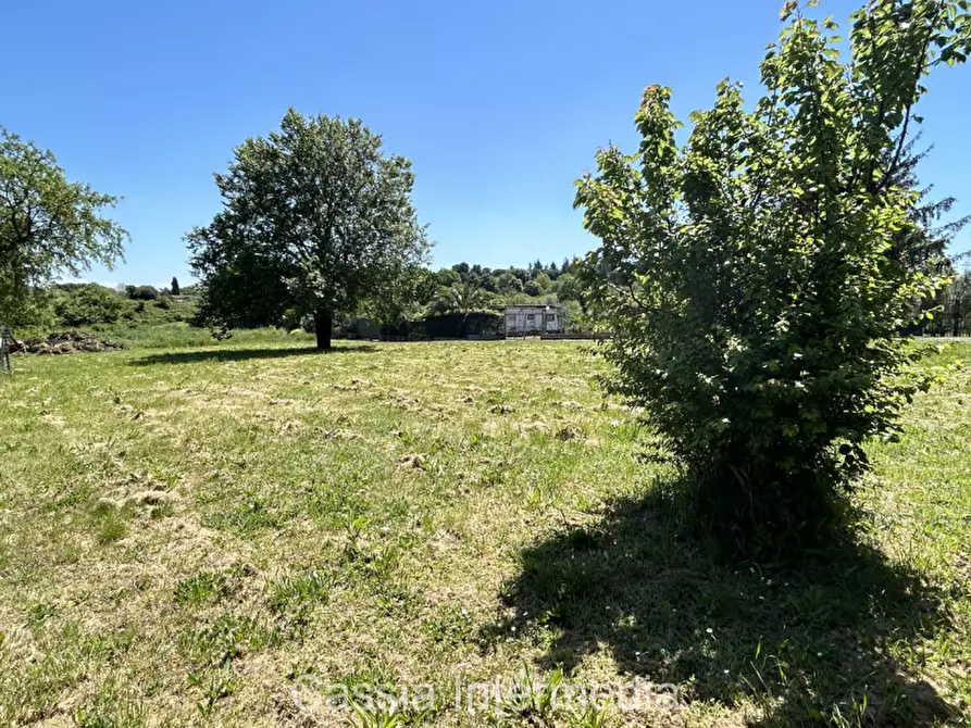 Immagine 34 di Villa in vendita  in Via Passerella 226 a Nepi