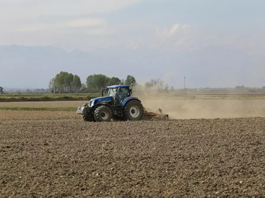 Immagine 1 di Terreno in vendita  in via nazionale a Canaro