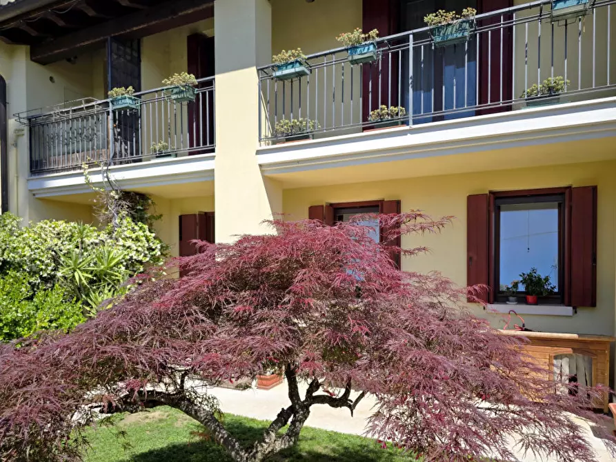 Immagine 36 di Villetta a schiera in vendita  in Via Grande di pezzan 62 a Carbonera
