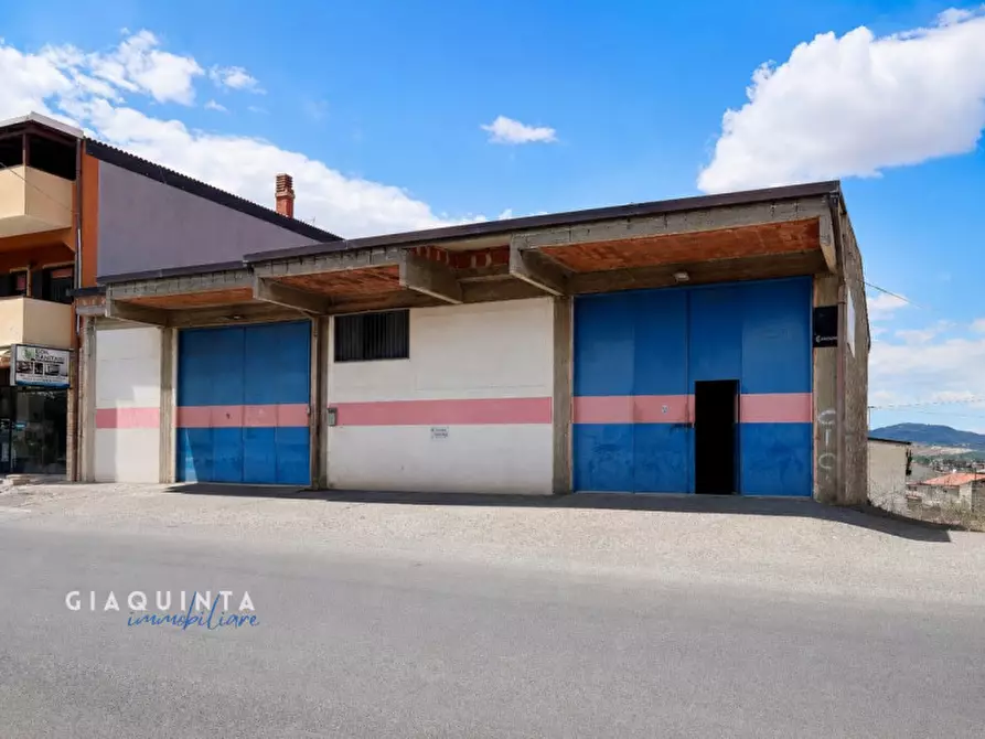 Immagine 1 di Magazzino in vendita  in Via Circonvallazione snc a Palagonia