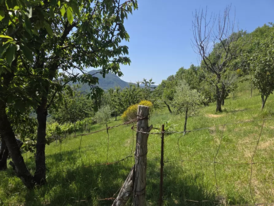 Immagine 9 di Rustico / casale in vendita  in via malfolle s.n. a Marzabotto