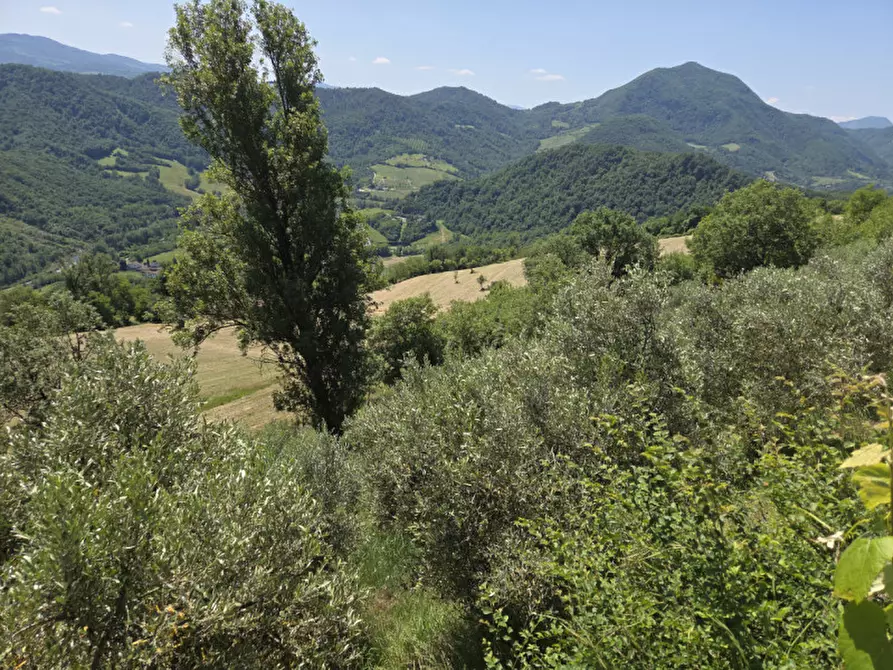 Immagine 12 di Rustico / casale in vendita  in via malfolle s.n. a Marzabotto