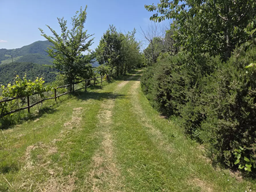 Immagine 13 di Rustico / casale in vendita  in via malfolle s.n. a Marzabotto