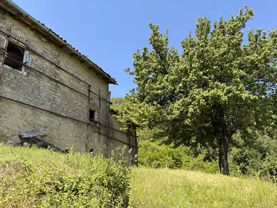 Immagine 24 di Rustico / casale in vendita  in via malfolle s.n. a Marzabotto