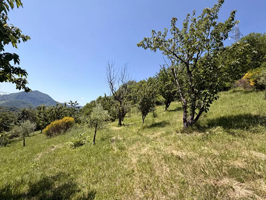 Immagine 34 di Rustico / casale in vendita  in via malfolle s.n. a Marzabotto