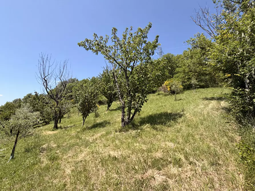 Immagine 35 di Rustico / casale in vendita  in via malfolle s.n. a Marzabotto