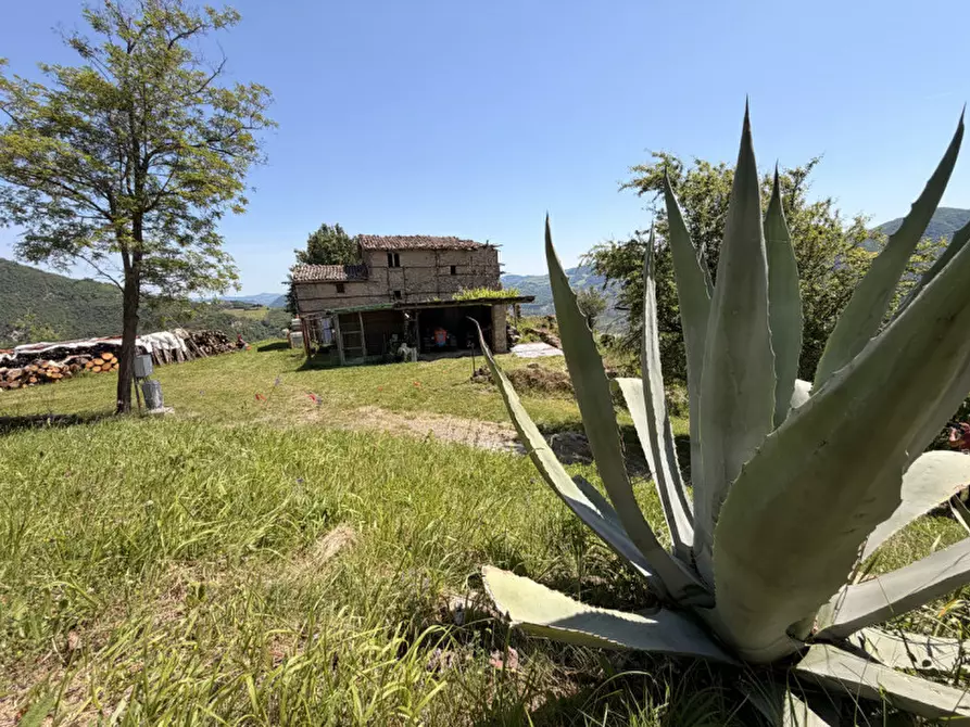 Immagine 37 di Rustico / casale in vendita  in via malfolle s.n. a Marzabotto