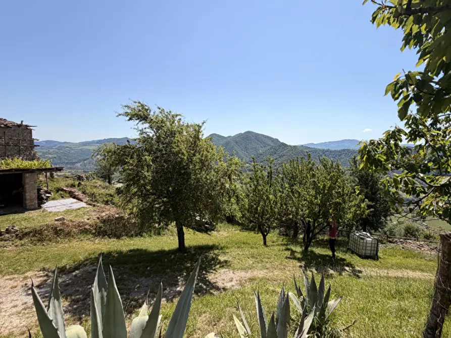 Immagine 38 di Rustico / casale in vendita  in via malfolle s.n. a Marzabotto