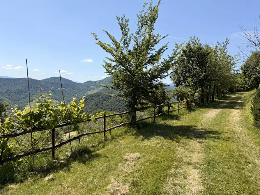 Immagine 43 di Rustico / casale in vendita  in via malfolle s.n. a Marzabotto