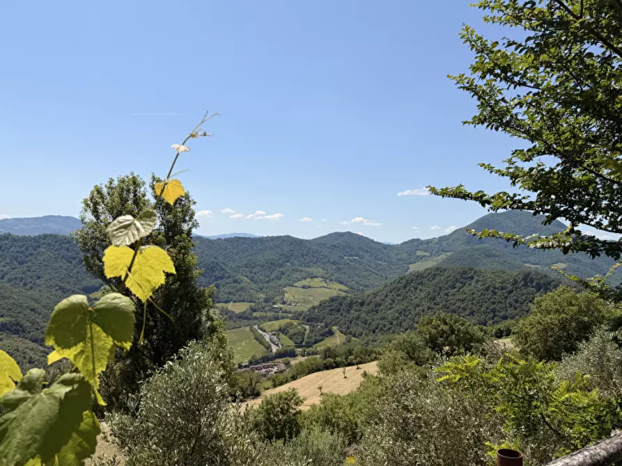 Immagine 45 di Rustico / casale in vendita  in via malfolle s.n. a Marzabotto