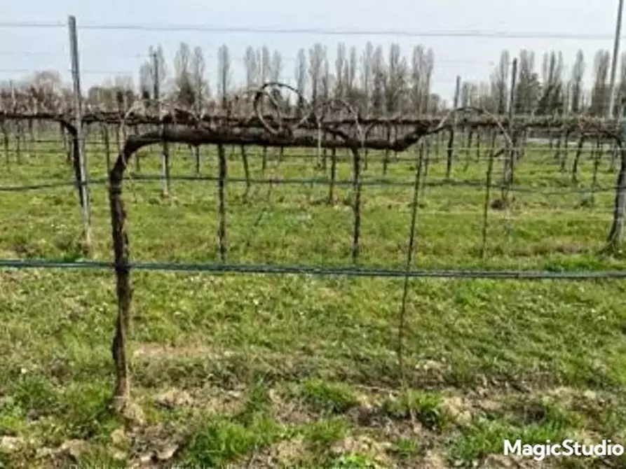 Immagine 1 di Terreno in vendita  in Via Cendon a Silea