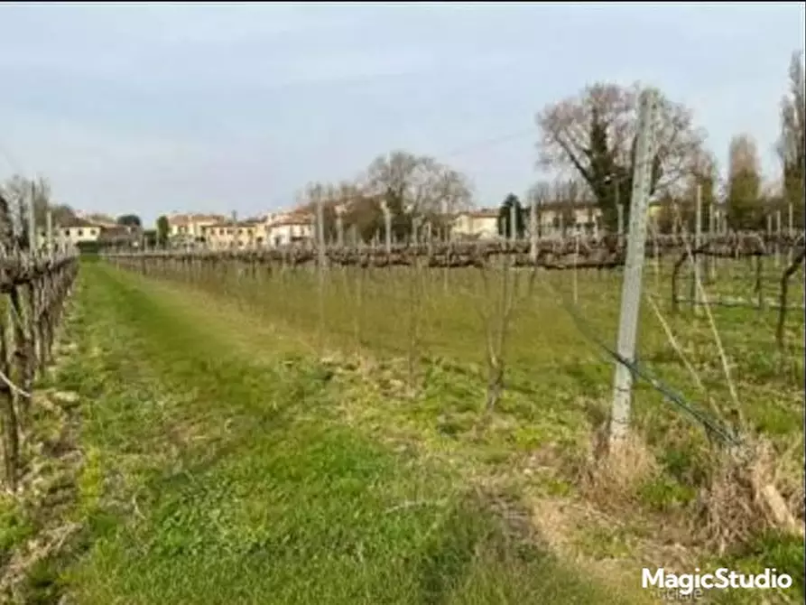 Immagine 2 di Terreno in vendita  in Via Cendon a Silea