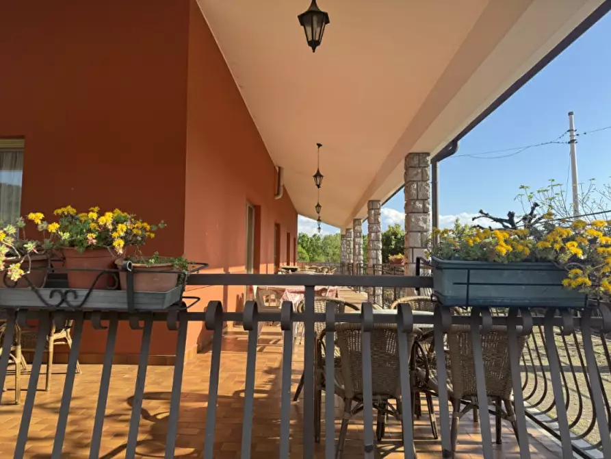 Immagine 5 di Hotel in affitto  in Monrupino 151 a Monrupino