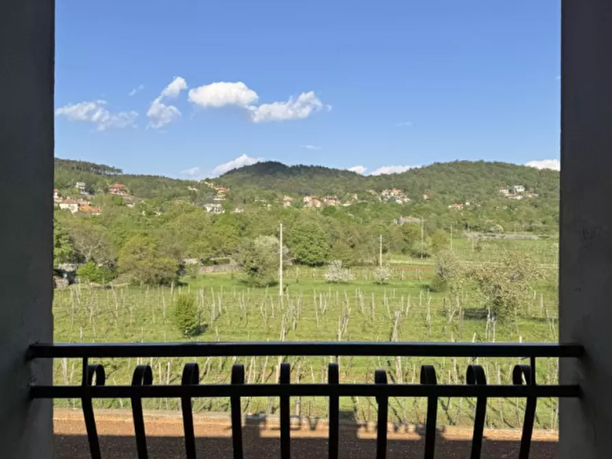 Immagine 39 di Hotel in affitto  in Monrupino 151 a Monrupino